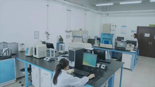 有研集團(tuán)國(guó)家動(dòng)力電池質(zhì)檢中心 以專業(yè)定制化服務(wù)創(chuàng)新驅(qū)動(dòng)北京技術(shù)服務(wù)業(yè)升級(jí)